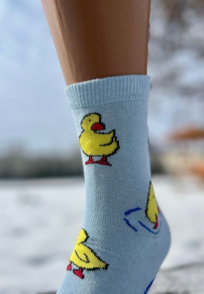 набір 37-39р.(10пар) шкарпетки весна / осінь жіночі високі класичні однотонні з малюнком 11WM 11WM фото